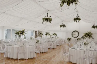 Wedding Angels - Organizacja Ślubów i Wesel